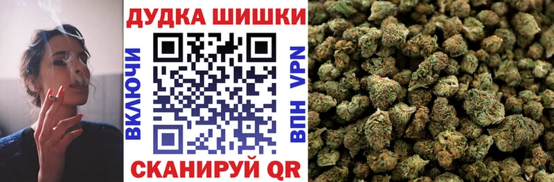 дарнет шоп  Александровск  Бошки марихуана сатива 